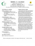 Parent Week at a Glance - Week of Nov 13-17 Parent Week at a Glance - Week of Nov 13-17